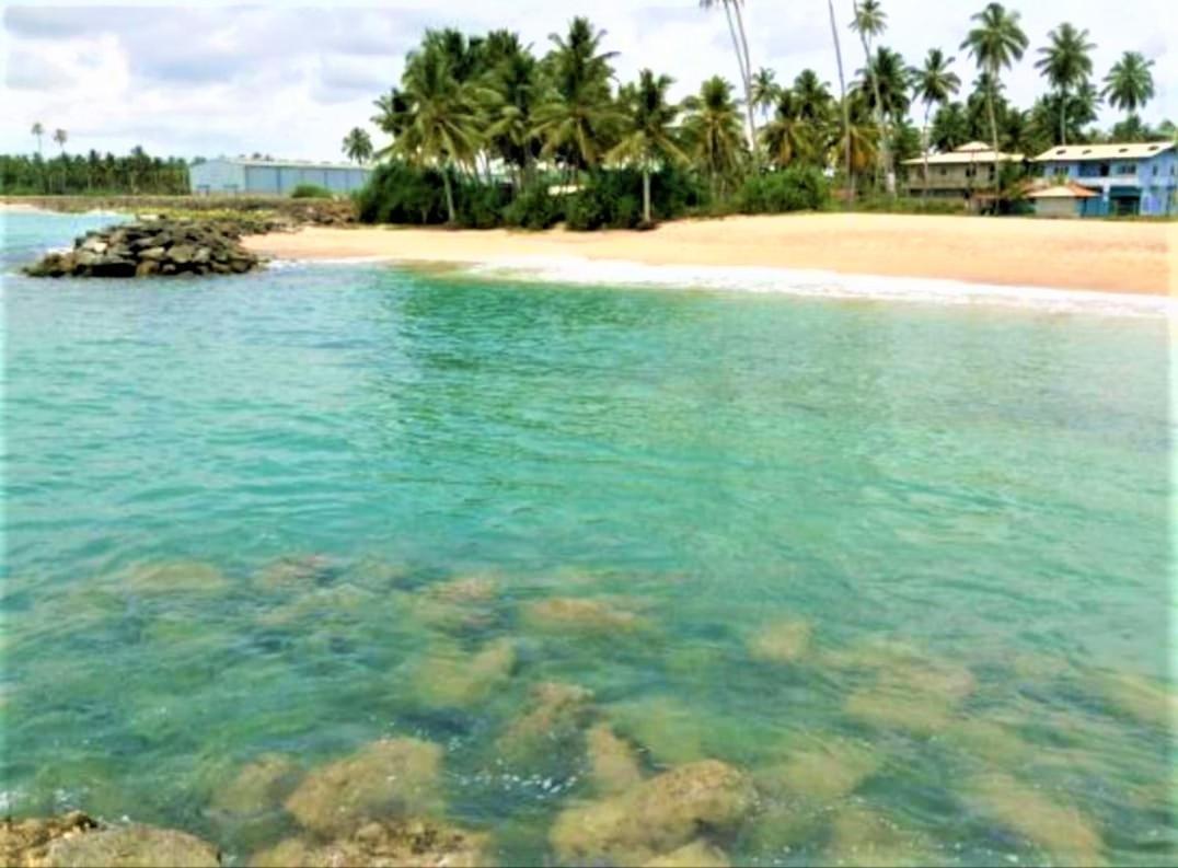 Sea Shell Villa Hikkaduwa 2 Separate Cabanas Ocean Front Villa エクステリア 写真